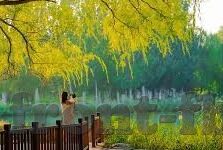 kaiyun体育官方app-体验极速体育赛事直播，尽在Kaiyun体育官方App